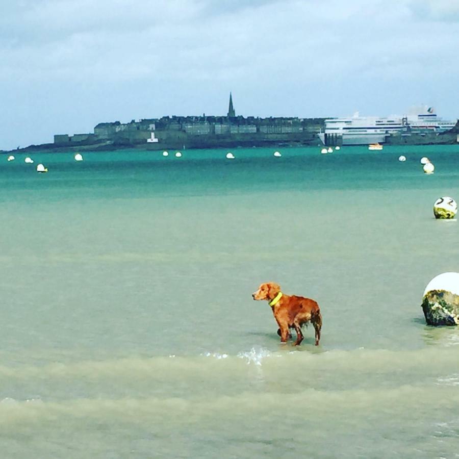 Haute Guais Dinard Eksteriør billede